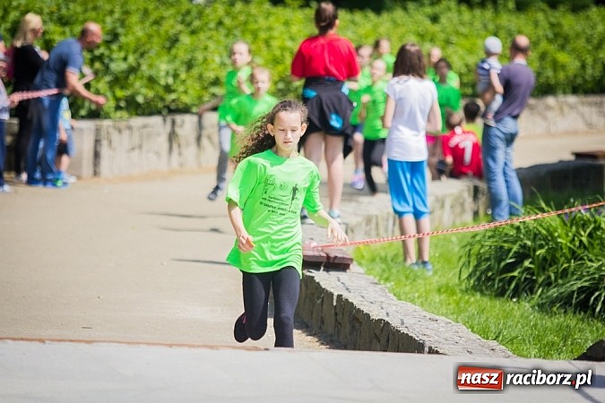 Zdjęcie w galerii na portalu naszraciborz.pl: IX Raciborski Bieg Profilaktyczny  wiadomości z regionu