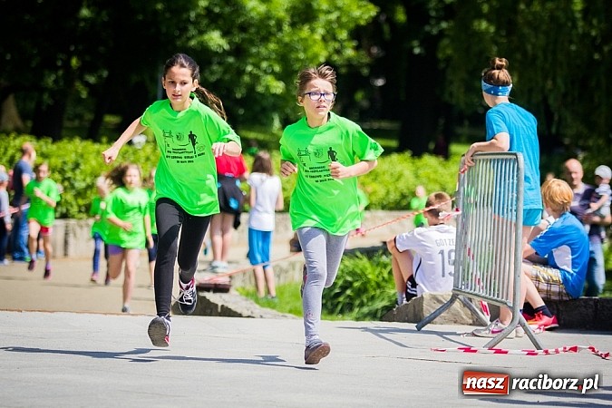 Zdjęcie w galerii na portalu naszraciborz.pl: IX Raciborski Bieg Profilaktyczny  wiadomości z regionu