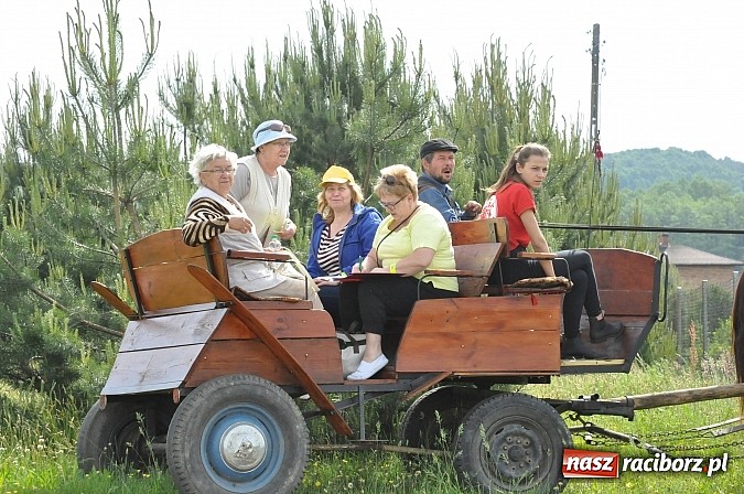 Zdjęcie w galerii na portalu naszraciborz.pl: Leśny Rodzinny Rajd Rowerowy Kobyla 2015 wiadomości z regionu