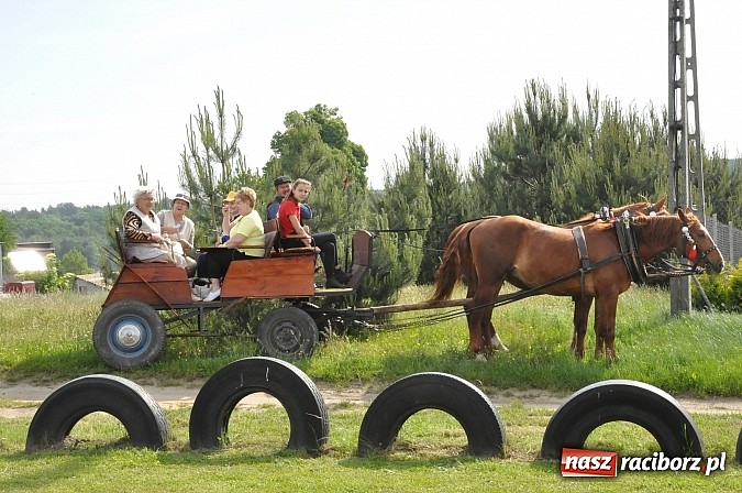 Zdjęcie w galerii na portalu naszraciborz.pl: Leśny Rodzinny Rajd Rowerowy Kobyla 2015 wiadomości z regionu