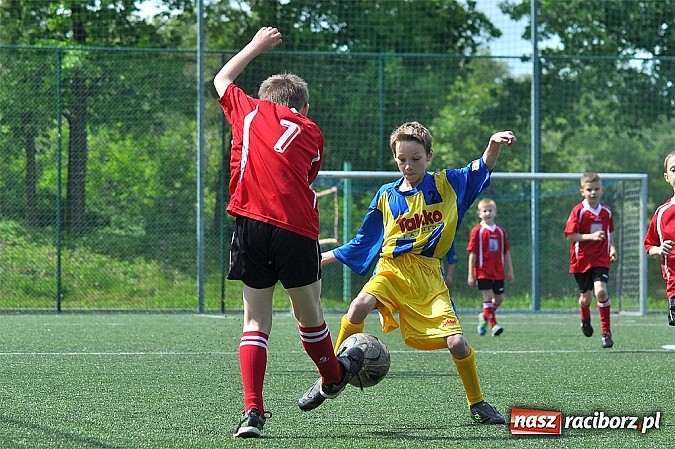 Zdjęcie w galerii na portalu naszraciborz.pl: Młodzi adepci futbolu grali w Krzanowicach wiadomości z regionu