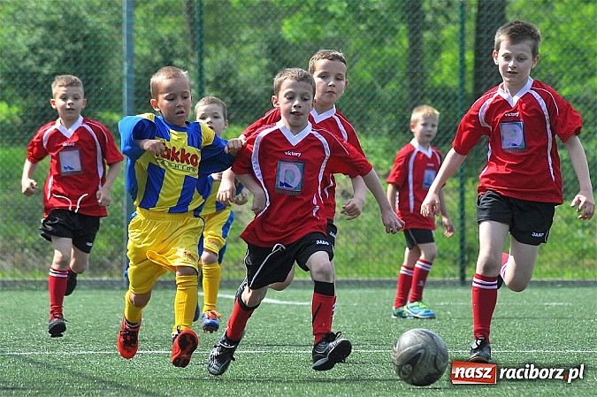 Zdjęcie w galerii na portalu naszraciborz.pl: Młodzi adepci futbolu grali w Krzanowicach wiadomości z regionu