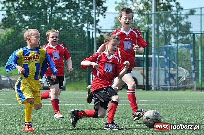 Zdjęcie w galerii na portalu naszraciborz.pl: Młodzi adepci futbolu grali w Krzanowicach wiadomości z regionu