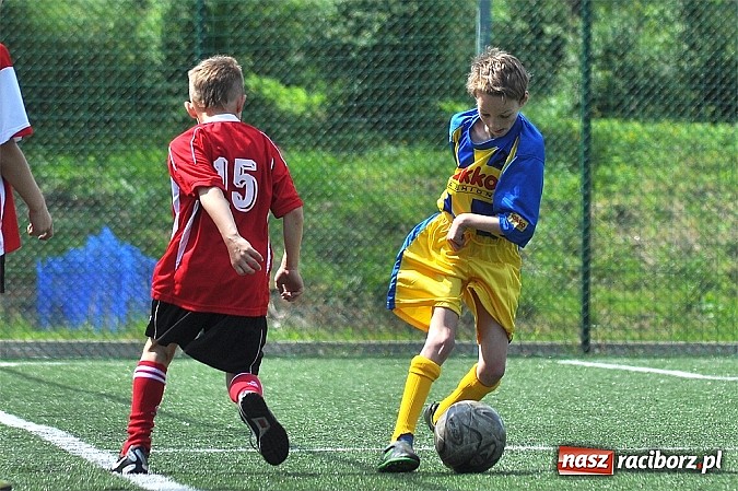 Zdjęcie w galerii na portalu naszraciborz.pl: Młodzi adepci futbolu grali w Krzanowicach wiadomości z regionu