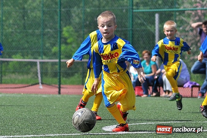 Zdjęcie w galerii na portalu naszraciborz.pl: Młodzi adepci futbolu grali w Krzanowicach wiadomości z regionu