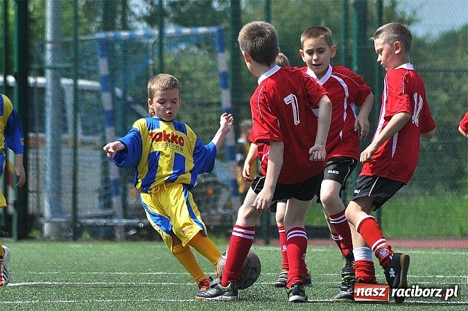 Zdjęcie w galerii na portalu naszraciborz.pl: Młodzi adepci futbolu grali w Krzanowicach wiadomości z regionu