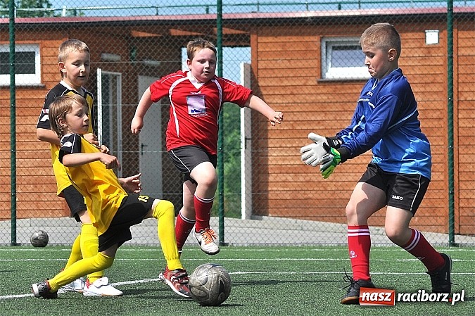 Zdjęcie w galerii na portalu naszraciborz.pl: Młodzi adepci futbolu grali w Krzanowicach wiadomości z regionu