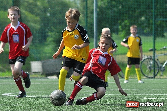 Zdjęcie w galerii na portalu naszraciborz.pl: Młodzi adepci futbolu grali w Krzanowicach wiadomości z regionu