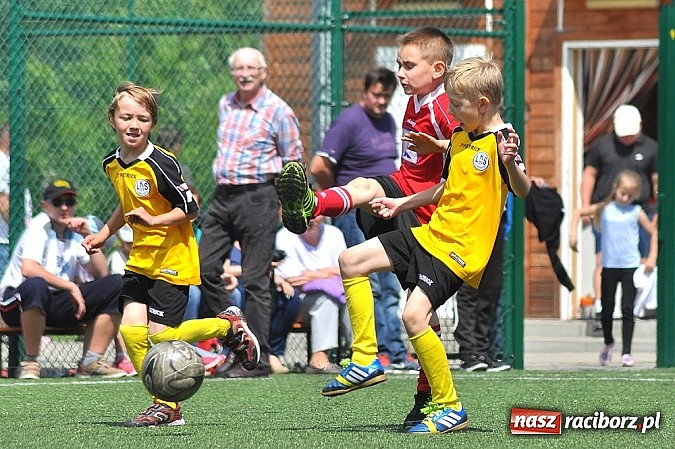 Zdjęcie w galerii na portalu naszraciborz.pl: Młodzi adepci futbolu grali w Krzanowicach wiadomości z regionu
