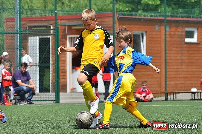 Zdjęcie w galerii na portalu naszraciborz.pl: Młodzi adepci futbolu grali w Krzanowicach wiadomości z regionu
