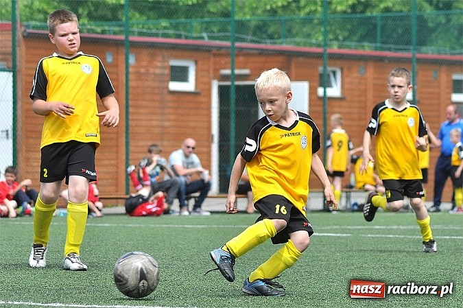 Zdjęcie w galerii na portalu naszraciborz.pl: Młodzi adepci futbolu grali w Krzanowicach wiadomości z regionu