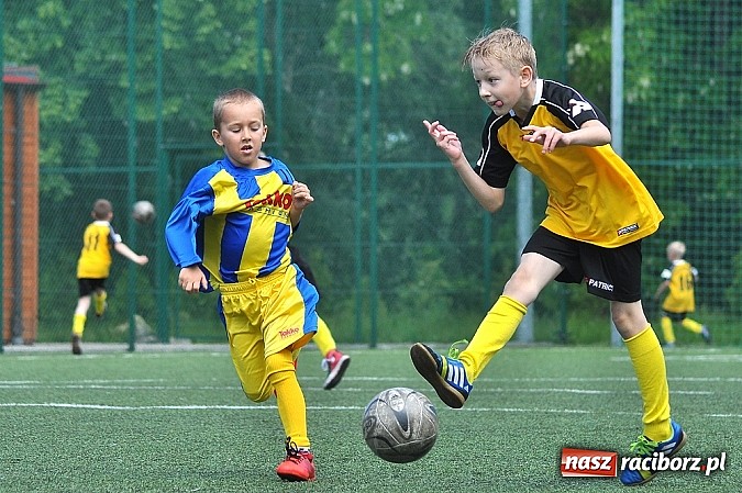 Zdjęcie w galerii na portalu naszraciborz.pl: Młodzi adepci futbolu grali w Krzanowicach wiadomości z regionu