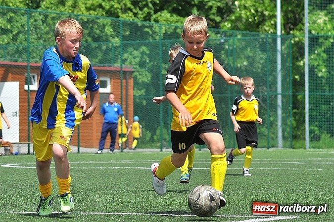 Zdjęcie w galerii na portalu naszraciborz.pl: Młodzi adepci futbolu grali w Krzanowicach wiadomości z regionu