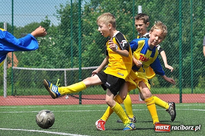 Zdjęcie w galerii na portalu naszraciborz.pl: Młodzi adepci futbolu grali w Krzanowicach wiadomości z regionu
