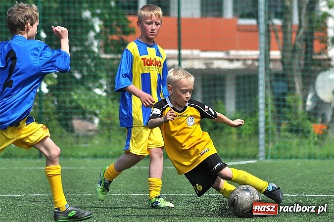 Zdjęcie w galerii na portalu naszraciborz.pl: Młodzi adepci futbolu grali w Krzanowicach wiadomości z regionu