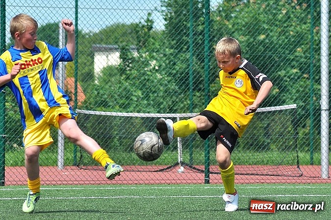 Zdjęcie w galerii na portalu naszraciborz.pl: Młodzi adepci futbolu grali w Krzanowicach wiadomości z regionu