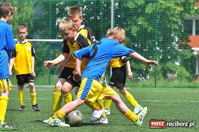 Zdjęcie w galerii na portalu naszraciborz.pl: Młodzi adepci futbolu grali w Krzanowicach wiadomości z regionu