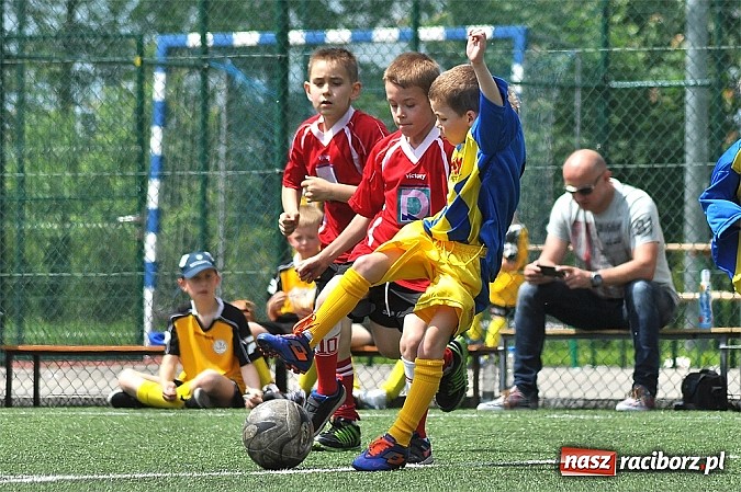Zdjęcie w galerii na portalu naszraciborz.pl: Młodzi adepci futbolu grali w Krzanowicach wiadomości z regionu
