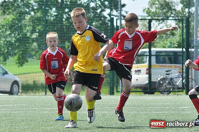 Zdjęcie w galerii na portalu naszraciborz.pl: Młodzi adepci futbolu grali w Krzanowicach wiadomości z regionu