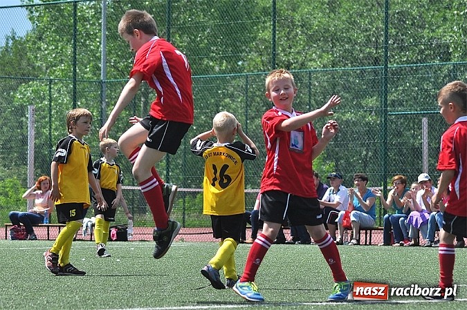 Zdjęcie w galerii na portalu naszraciborz.pl: Młodzi adepci futbolu grali w Krzanowicach wiadomości z regionu