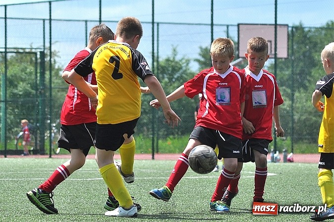 Zdjęcie w galerii na portalu naszraciborz.pl: Młodzi adepci futbolu grali w Krzanowicach wiadomości z regionu