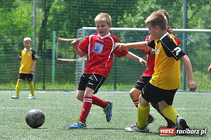 Zdjęcie w galerii na portalu naszraciborz.pl: Młodzi adepci futbolu grali w Krzanowicach wiadomości z regionu