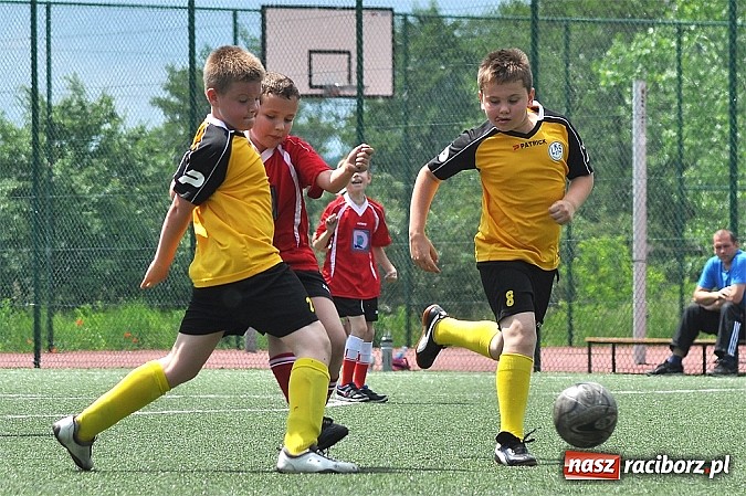 Zdjęcie w galerii na portalu naszraciborz.pl: Młodzi adepci futbolu grali w Krzanowicach wiadomości z regionu