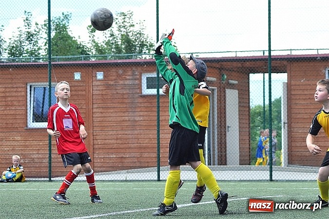 Zdjęcie w galerii na portalu naszraciborz.pl: Młodzi adepci futbolu grali w Krzanowicach wiadomości z regionu