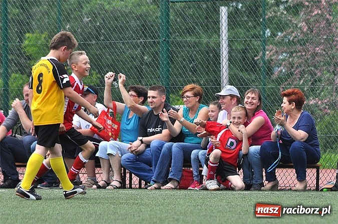 Zdjęcie w galerii na portalu naszraciborz.pl: Młodzi adepci futbolu grali w Krzanowicach wiadomości z regionu