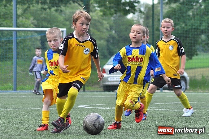 Zdjęcie w galerii na portalu naszraciborz.pl: Młodzi adepci futbolu grali w Krzanowicach wiadomości z regionu
