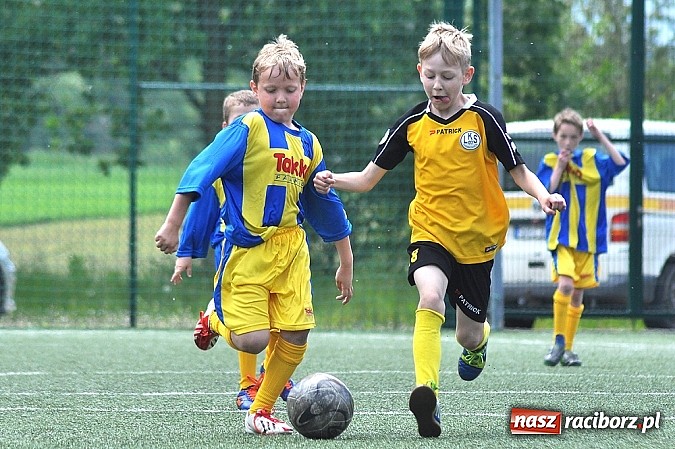 Zdjęcie w galerii na portalu naszraciborz.pl: Młodzi adepci futbolu grali w Krzanowicach wiadomości z regionu
