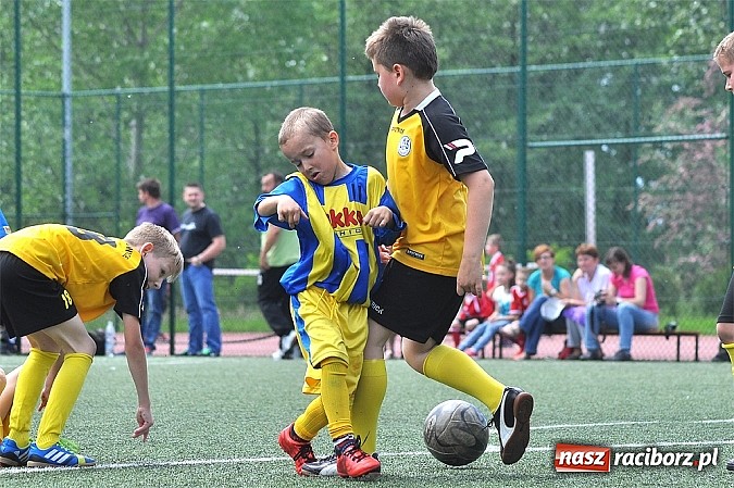 Zdjęcie w galerii na portalu naszraciborz.pl: Młodzi adepci futbolu grali w Krzanowicach wiadomości z regionu