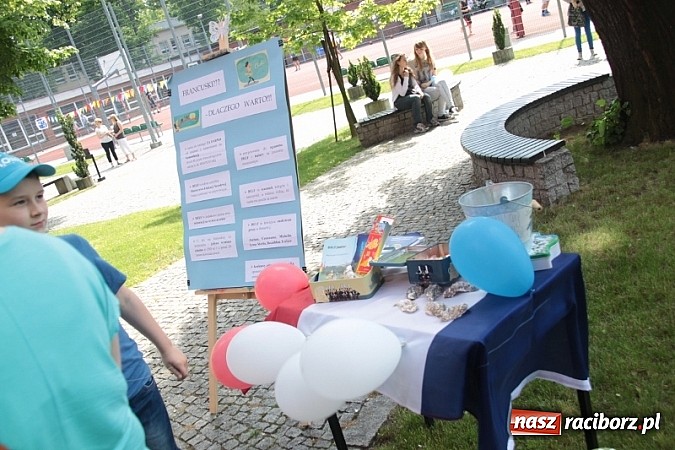 Zdjęcie w galerii na portalu naszraciborz.pl: Piknik szkolny w ZSO nr 1 przy Kasprowicza  wiadomości z regionu