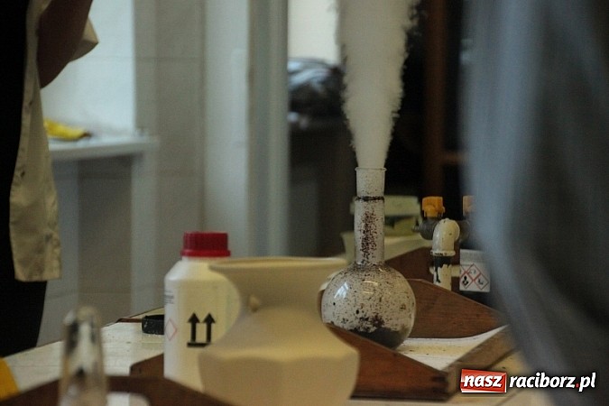 Zdjęcie w galerii na portalu naszraciborz.pl: Piknik szkolny w ZSO nr 1 przy Kasprowicza  wiadomości z regionu