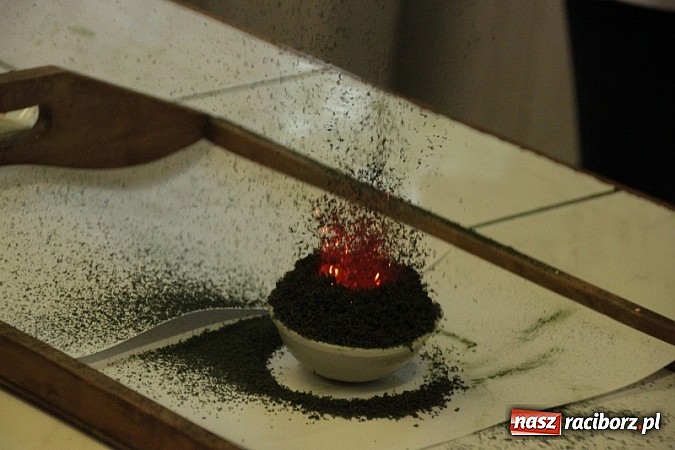 Zdjęcie w galerii na portalu naszraciborz.pl: Piknik szkolny w ZSO nr 1 przy Kasprowicza  wiadomości z regionu