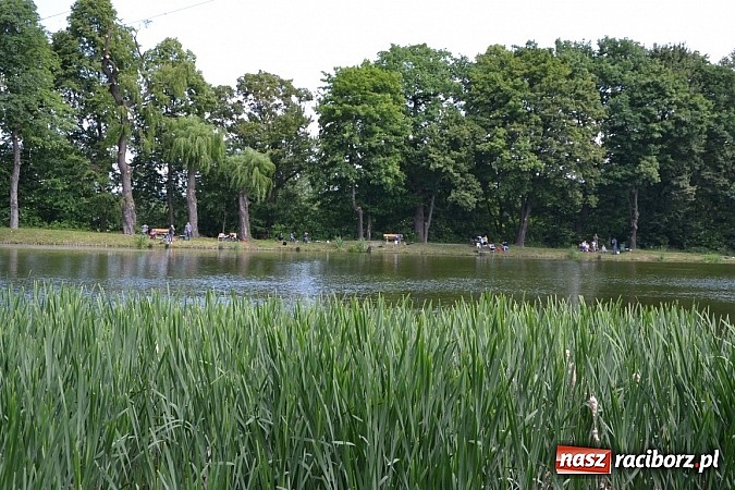 Zdjęcie w galerii na portalu naszraciborz.pl: Wielkie połowy na Trzecioku, czyli wędkarze dzieciom  wiadomości z regionu