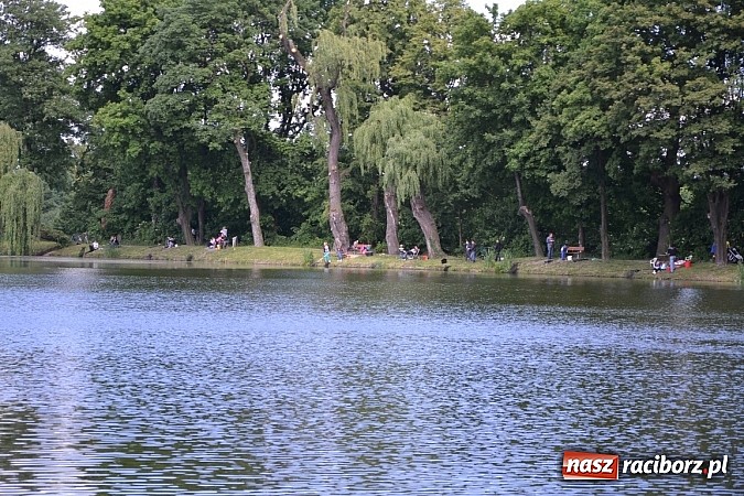 Zdjęcie w galerii na portalu naszraciborz.pl: Wielkie połowy na Trzecioku, czyli wędkarze dzieciom  wiadomości z regionu