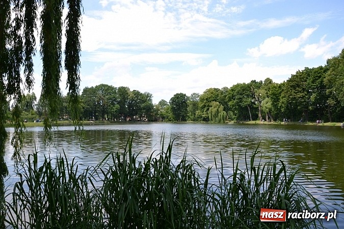 Zdjęcie w galerii na portalu naszraciborz.pl: Wielkie połowy na Trzecioku, czyli wędkarze dzieciom  wiadomości z regionu