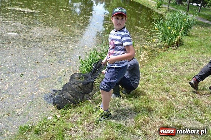 Zdjęcie w galerii na portalu naszraciborz.pl: Wielkie połowy na Trzecioku, czyli wędkarze dzieciom  wiadomości z regionu
