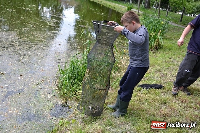 Zdjęcie w galerii na portalu naszraciborz.pl: Wielkie połowy na Trzecioku, czyli wędkarze dzieciom  wiadomości z regionu