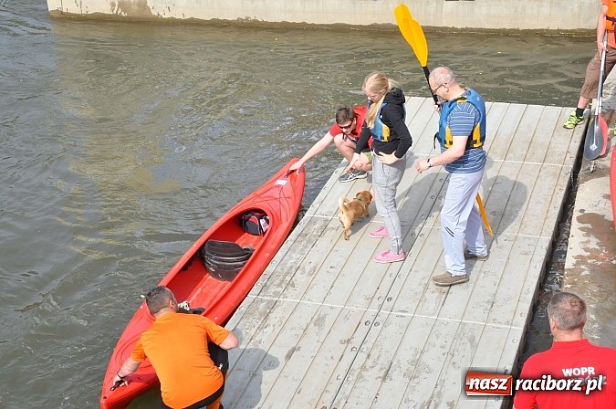 Zdjęcie w galerii na portalu naszraciborz.pl: Po sprintach i slalomie przyszedł czas na odrzańską raciborską pętlę wiadomości z regionu