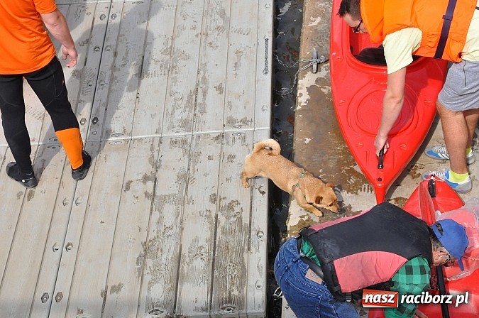 Zdjęcie w galerii na portalu naszraciborz.pl: Po sprintach i slalomie przyszedł czas na odrzańską raciborską pętlę wiadomości z regionu