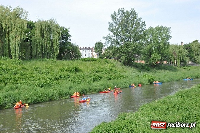 Zdjęcie w galerii na portalu naszraciborz.pl: Po sprintach i slalomie przyszedł czas na odrzańską raciborską pętlę wiadomości z regionu