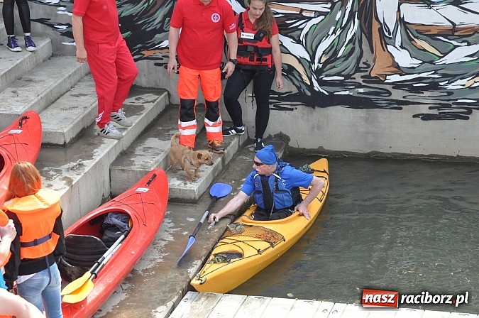 Zdjęcie w galerii na portalu naszraciborz.pl: Po sprintach i slalomie przyszedł czas na odrzańską raciborską pętlę wiadomości z regionu