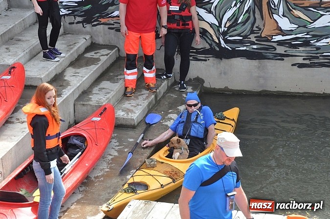 Zdjęcie w galerii na portalu naszraciborz.pl: Po sprintach i slalomie przyszedł czas na odrzańską raciborską pętlę wiadomości z regionu