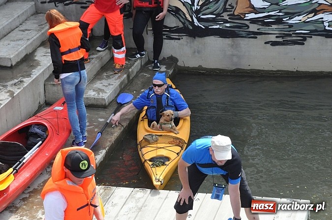 Zdjęcie w galerii na portalu naszraciborz.pl: Po sprintach i slalomie przyszedł czas na odrzańską raciborską pętlę wiadomości z regionu