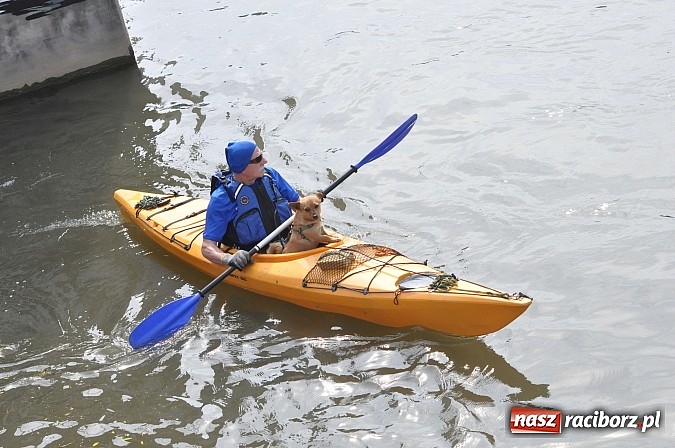 Zdjęcie w galerii na portalu naszraciborz.pl: Po sprintach i slalomie przyszedł czas na odrzańską raciborską pętlę wiadomości z regionu