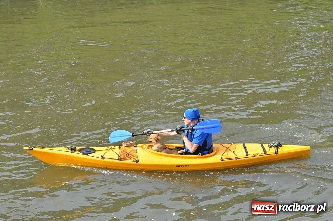 Zdjęcie w galerii na portalu naszraciborz.pl: Po sprintach i slalomie przyszedł czas na odrzańską raciborską pętlę wiadomości z regionu