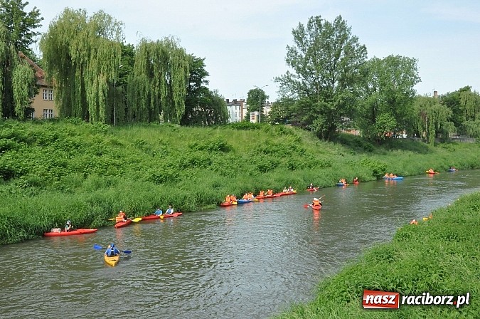 Zdjęcie w galerii na portalu naszraciborz.pl: Po sprintach i slalomie przyszedł czas na odrzańską raciborską pętlę wiadomości z regionu