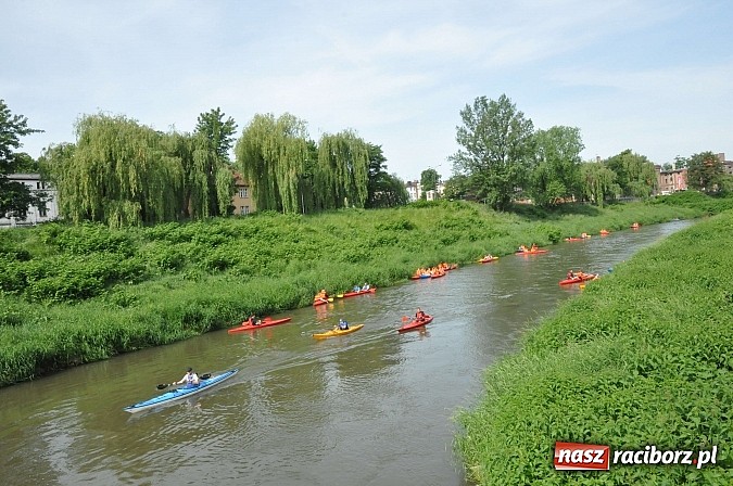 Zdjęcie w galerii na portalu naszraciborz.pl: Po sprintach i slalomie przyszedł czas na odrzańską raciborską pętlę wiadomości z regionu